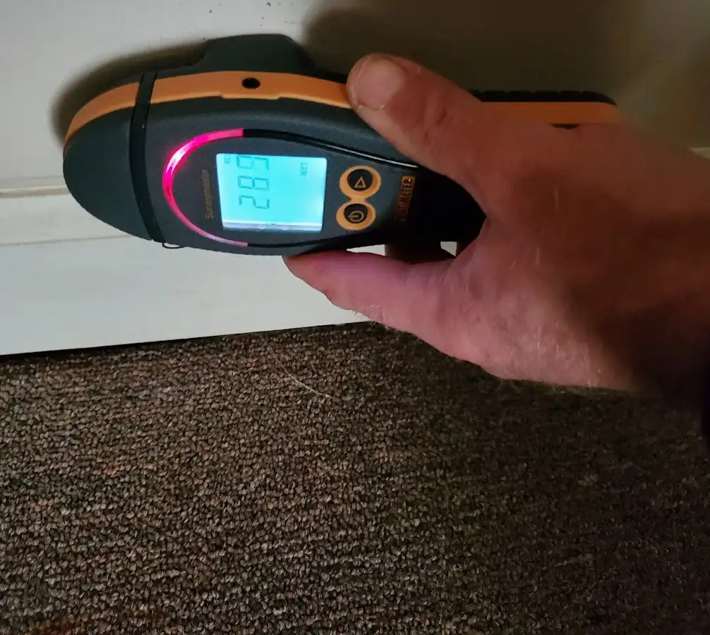 Moisture detection at baseboard during Mold Inspection & Testing in Linda